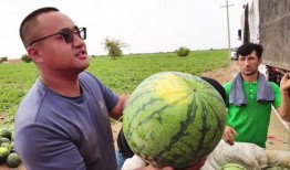 56吃瓜网,揭秘娱乐圈最新热点，带你领略明星幕后故事