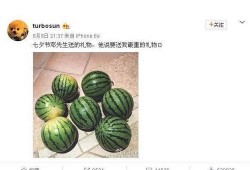 网红热瓜 17吃瓜fun,揭秘“吃瓜fun”背后的热门事件